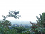 Elmwood Terrace, Kingston / St. Andrew, Jamaica - Residential lot for Sale
